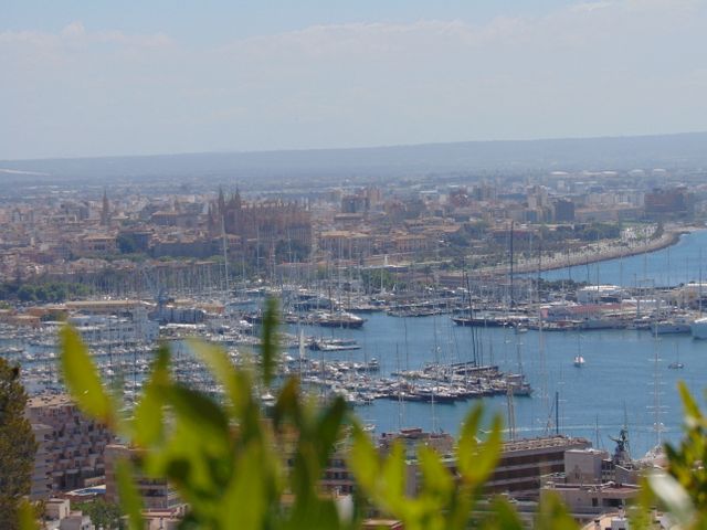 Scenic panorama of a coastal city with a harbor full of yachts and boats. Historic buildings are visible in the background, adding charm to the urban landscape. Perfect for travel websites, tourism brochures, and editorial uses focusing on coastal cities and seaside destinations.