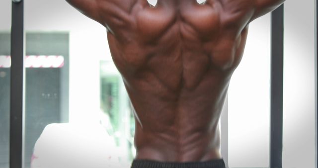African American male showcasing his muscular back, with copy space - Download Free Stock Photos Pikwizard.com