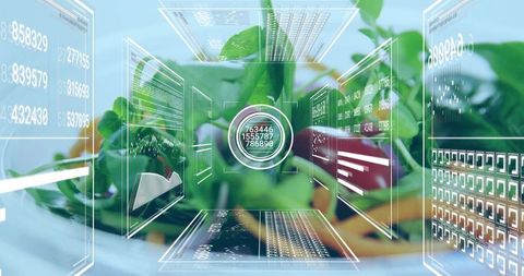 Leafy potted plant with holographic hud panels displaying data analytics for smart farming