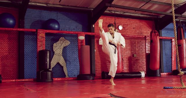 Martial artist executing a high kick in a dojo under professional training. Suitable for use in fitness, sports training, or martial arts content, as well as promoting physical discipline, self-defense classes, or karate schools.