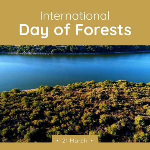 Celebrating International Day of Forests with Vibrant Riverine Landscape - Download Free Stock Templates Pikwizard.com