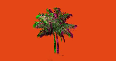 Vibrant Palm Tree Illustration on Bold Orange Backdrop - Download Free Stock Images Pikwizard.com