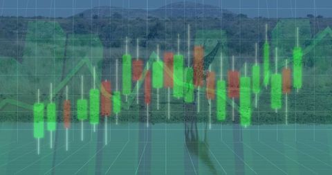 Wildlife and financial data fusion with green red candlestick bars