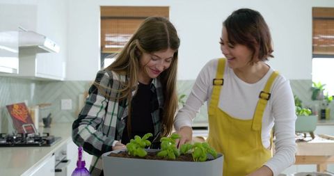 Two women tending basil seedlings on kitchen island with gray planter and spray bottle