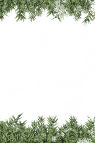 transparent snowflake frame with green fir branches and frost - Download Free Stock Videos Pikwizard.com
