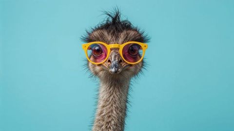 Whimsical emu wearing colorful sunglasses enjoys blue background