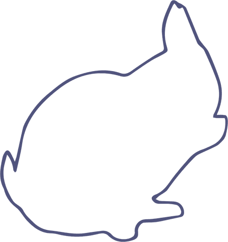 Rabbit Outline on Transparent Background for Design Projects - Download Free Stock Videos Pikwizard.com