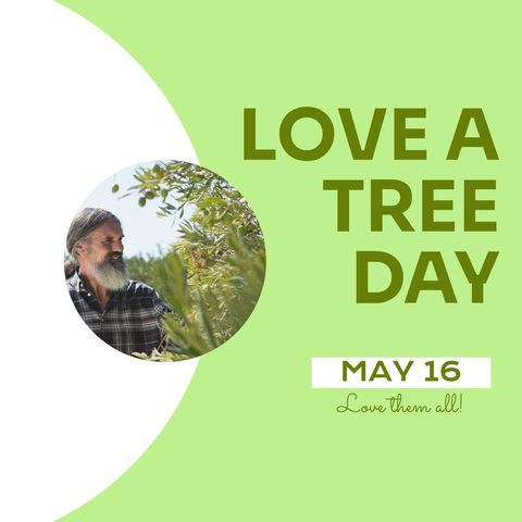Celebrating Love a Tree Day with Elderly Man in Nature - Download Free Stock Templates Pikwizard.com