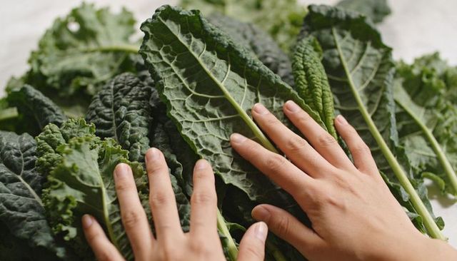 Hands pressing lacinato kale leaves showcasing ribbed veins and leafy texture for cooking