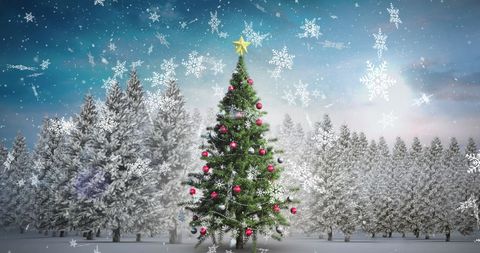Decorated Christmas Tree Amidst Snowy Forestation - Download Free Stock Images Pikwizard.com