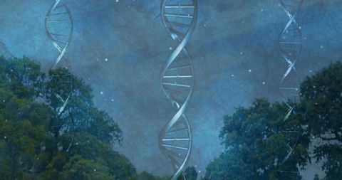 Translucent dna helix rising above forest under starry night sky, futuristic genome concept