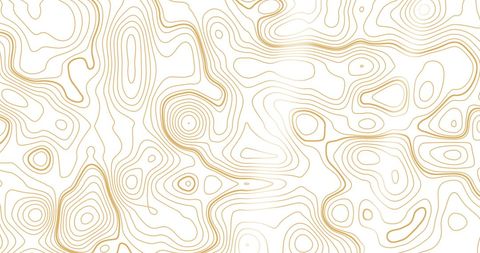 Abstract gold contour pattern on white background