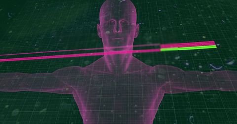 Digital interface analyzing human body data