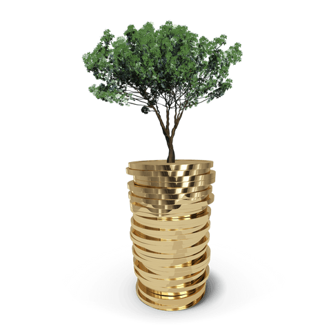 Growing Wealth Concept with Tree on Coin Stack Transparent - Download Free Stock Videos Pikwizard.com
