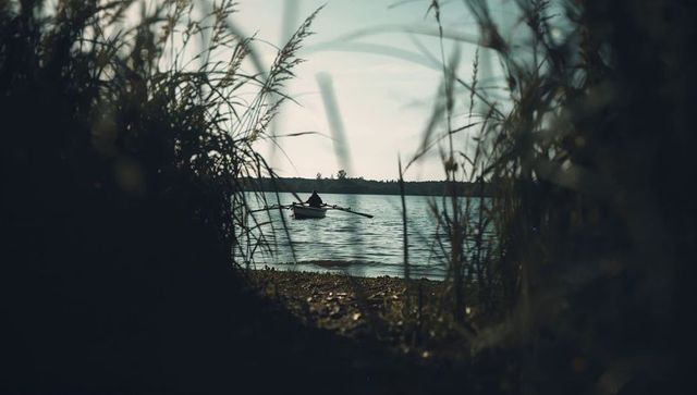 Solitary rower framing through reeds on calm lake at dusk for quiet reflection