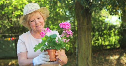 Elderly Woman Inspecting Potted Plant in Garden