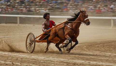 Barechested driver racing chestnut horse pulling sulky on dusty track, harness racing action