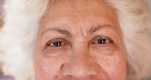 Close-Up of Elderly Woman's Wrinkled Face with Soft Smile - Download Free Stock Images Pikwizard.com