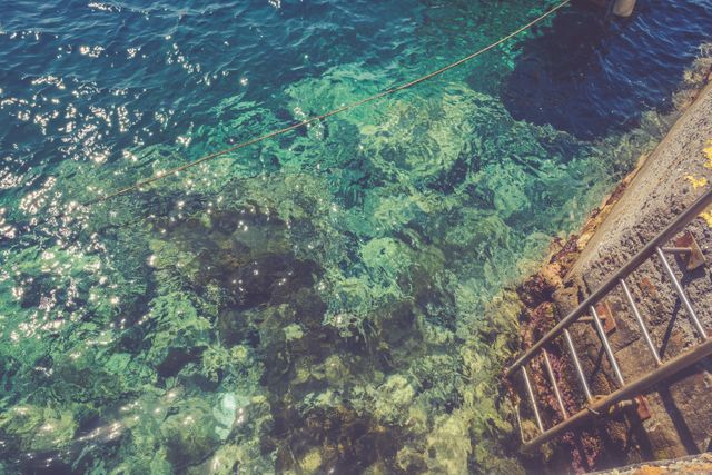 Clear blue water revealing underwater marine life with rustic staircase next to sea. Great for travel and adventure themes, aquatic sports, diving spots, tropical beach resorts, and ocean documentary covers.