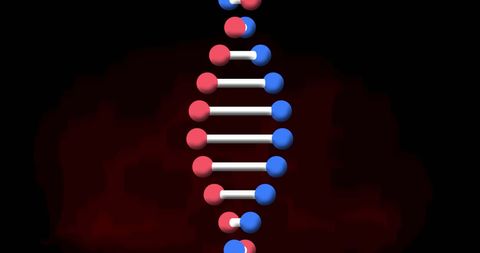 Spinning DNA Strand on Red and Black Gradient