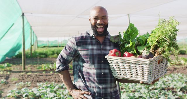 Happy Farmer Holding Fresh Vegetables Harvested from Farm - Download Free Stock Images Pikwizard.com