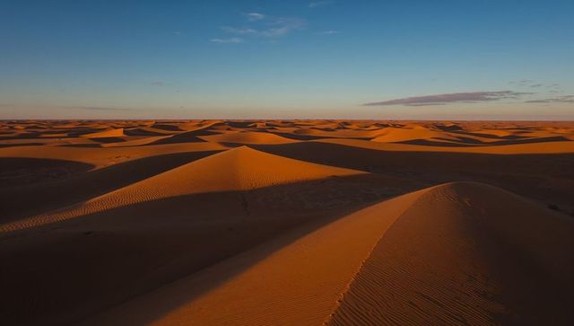 Golden sand dunes at sunset showing rippled crests, ridge lines and dramatic shadows