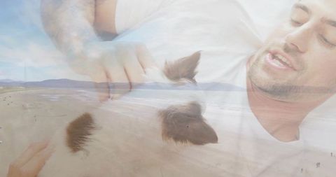 Man relaxing with puppy on dreamy beach double exposure overlay