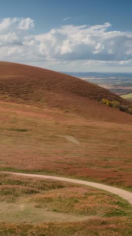 Vertical cinematic pan across winding hill path and wildflower-covered moorland