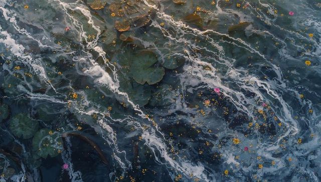 Aerial swirl of lily pads and floating petals with foamy water trails and botanical texture