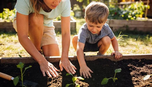 Mother teaching son planting seedlings in sunny backyard raised garden bed, hands in soil
