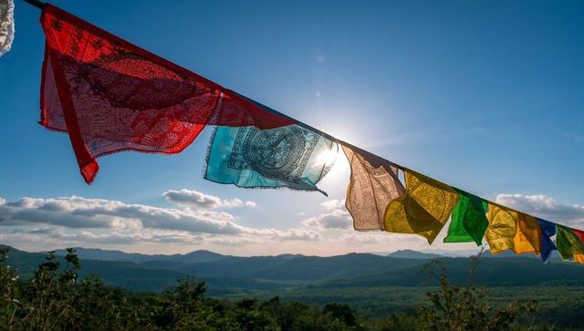 Fluttering tibetan prayer flags catching sunlight over forested valley at hillside overlook