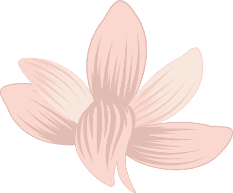 minimalist six-petaled flower on transparent background - Download Free Stock Videos Pikwizard.com