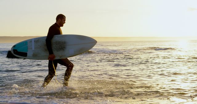 Surfer Carrying Board Across Shoreline at Sunset - Download Free Stock Images Pikwizard.com