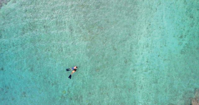 Snorkeler Exploring Crystal Clear Ocean Water - Download Free Stock Images Pikwizard.com