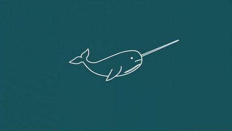 Minimalist Narwhal Line Drawing on Solid Teal Background