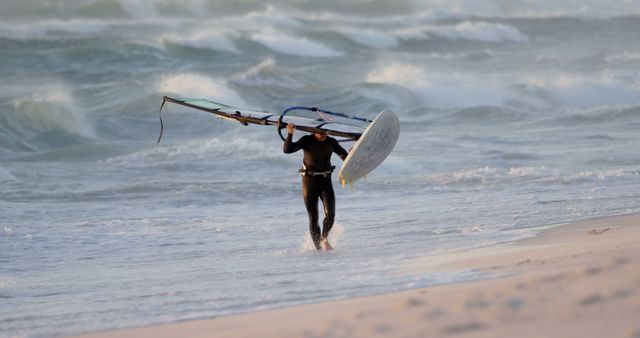 Man Windsurfing on Windy Beach - Download Free Stock Images Pikwizard.com