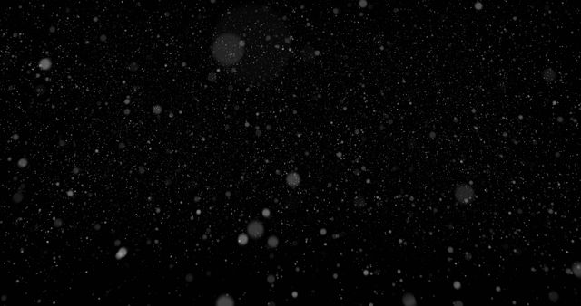 This image shows snowflakes falling on a black background. It captures the beauty and tranquility of snowfall, making it ideal for holiday cards, winter-themed designs, and as a festive overlay effect in graphic design projects or video editing.