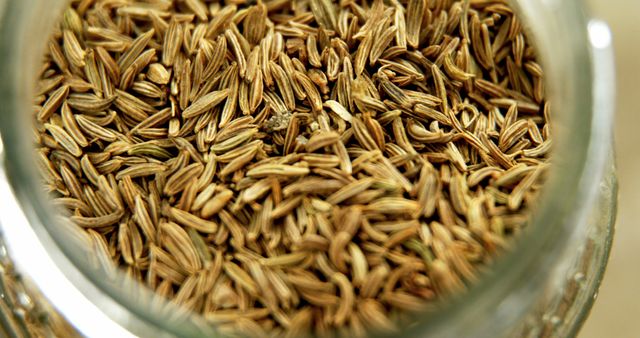 Close-up view of caraway seeds in a glass jar, with copy space - Download Free Stock Photos Pikwizard.com