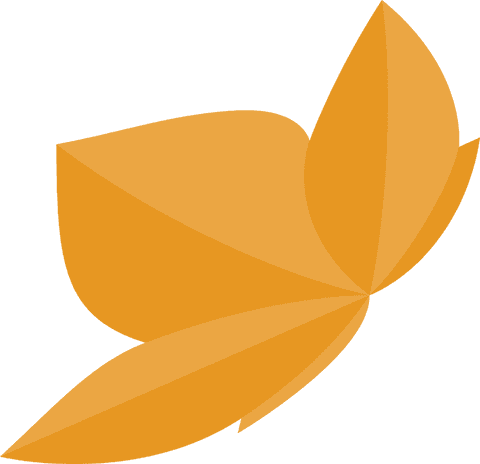 Transparent Orange Petal Pinwheel Floral Abstract Design