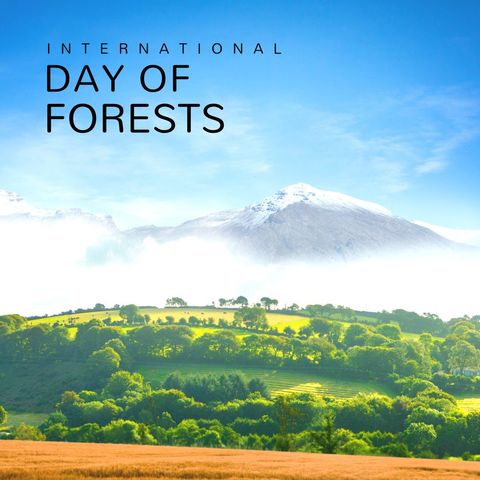 Peaceful Mountain Landscape Celebrating International Day of Forests - Download Free Stock Templates Pikwizard.com