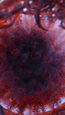 Vertical microscopic video revealing drifting fibrous cavity with rotating filament rings