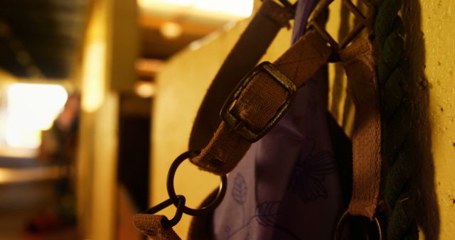 Close-Up of Horse Bridle Hanging in Stable - Download Free Stock Images Pikwizard.com