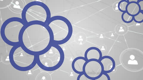 Digital Networking Animation with Profile Icons and Flower Shapes