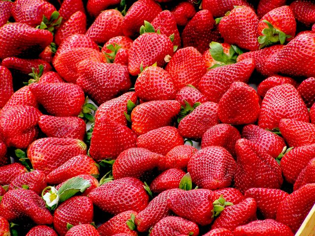 Freshly picked strawberries abundant in a pile. Perfect for use in content related to healthy eating, natural food products, recipes, summer fruit, or grocery advertisements.