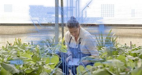 Greenhouse worker recording plant data on tablet among potted plants