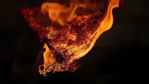 Igniting Paper Fragment with Spreading Flames and Embers