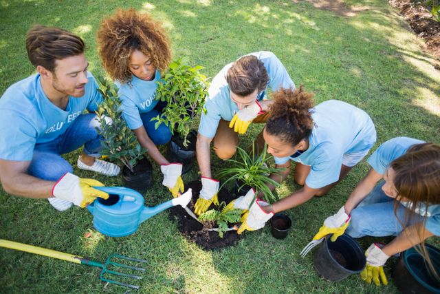 Group of volunteers working together to plant trees in a park. They are wearing gloves and using gardening tools, emphasizing teamwork and community effort. This image can be used for promoting environmental initiatives, community service projects, and sustainability campaigns.