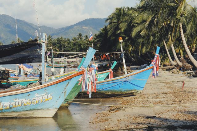 Colorful traditional fishing boats tied up on a sandy tropical beach with clear blue sky and palm trees in the background. The mountains and palm trees provide a picturesque and serene scenery. Suitable for travel brochures, culture and tourism websites, or tropical vacation advertisements.