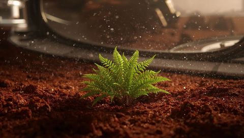 Growing green fern sprout in humid terrarium with misty droplets and rich soil