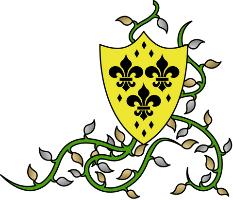 flat design yellow shield with heraldic symbol and vines transparent - Download Free Stock Videos Pikwizard.com